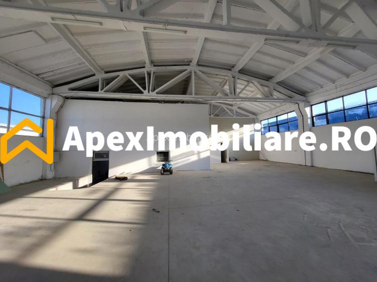 Hala Industriala Xenia – 1800 mp, Acces TIR, Parcare 50 Auto - 11