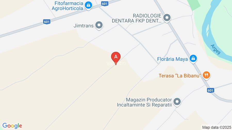 Casă 200mp + teren 2745mp la 30km Bucuresti - preț ajustat pentru vânzare rapidă - 12