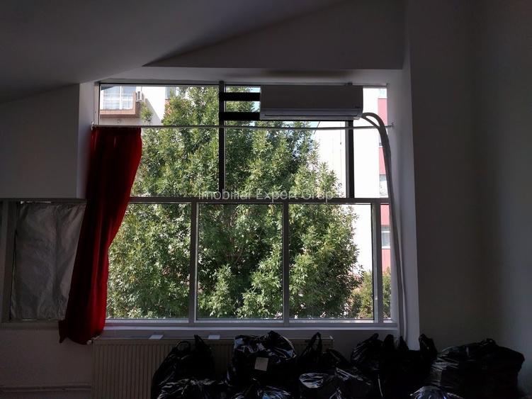 Theodor Pallady  300 mp - 7