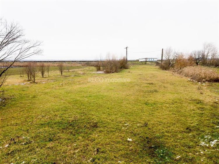 RECO . Teren intravilan cu hala metalica in Roit . - 8