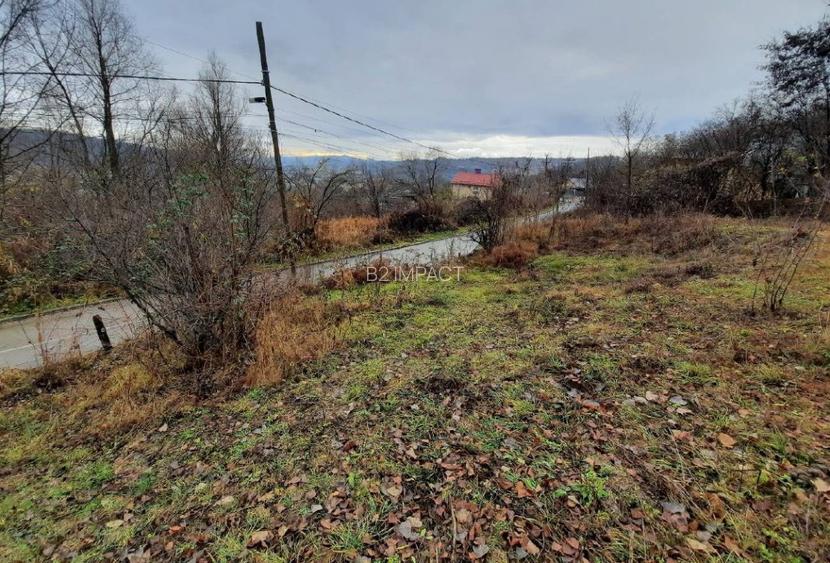 Teren intravilan faneata Fieni 4.488 mp (licitatie) - 5