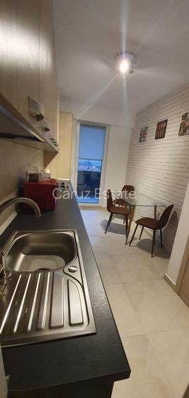 Studiou Aviatiei Apartments/Metrou Aurel Vlaicu - 3