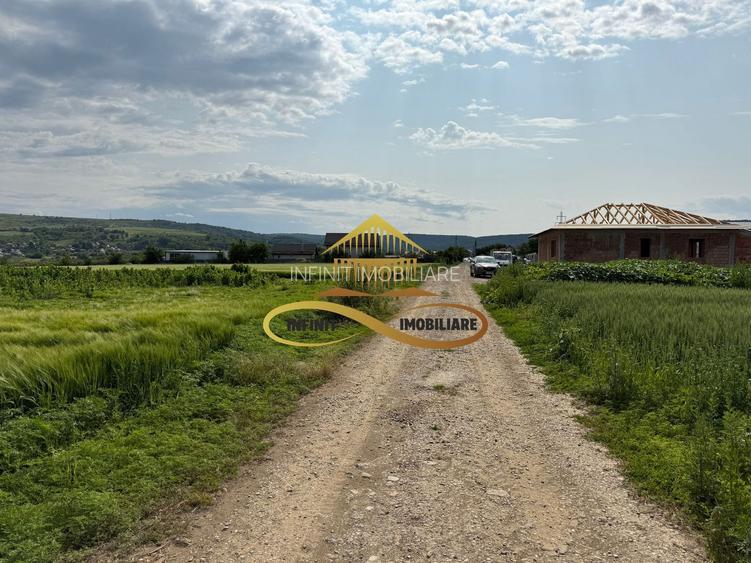 Teren intravilan de Vanzare in Magura Bacau - 6