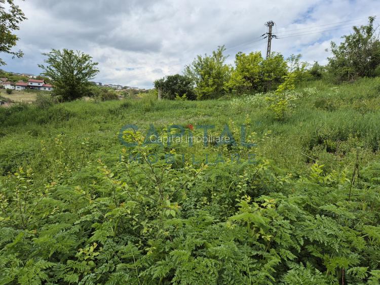 Teren extravilan 11 600mp, Dezmir - 2