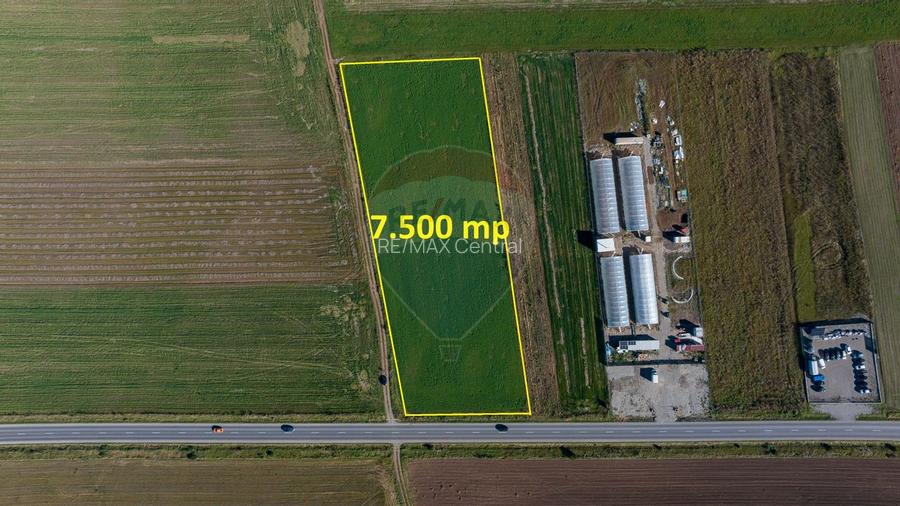 Teren comercial / industrial | 7,500mp Strada Zizinului | Tarlungeni - 6