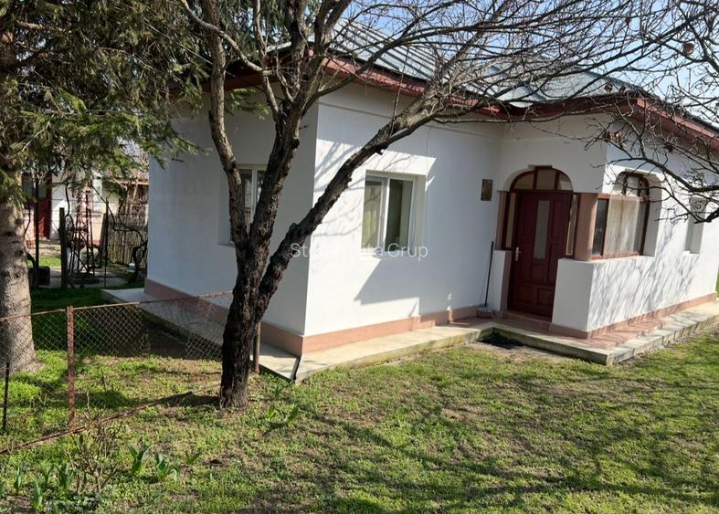 Casa Bolintin Vale Crivina - 7