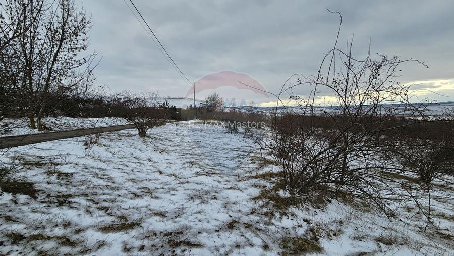 Teren 10,000mp Radaseni / Soseaua DN2-E85, judetul Suceava - 10