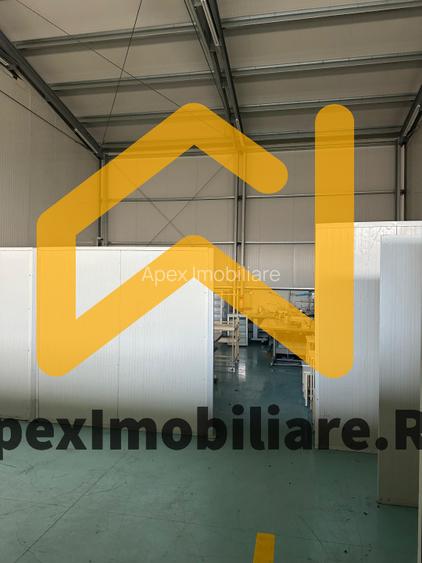 Hala Industrială Malu Rosu Ploiesti 550 mp + Birouri | Parcare 20 | Acces TIR | - 15