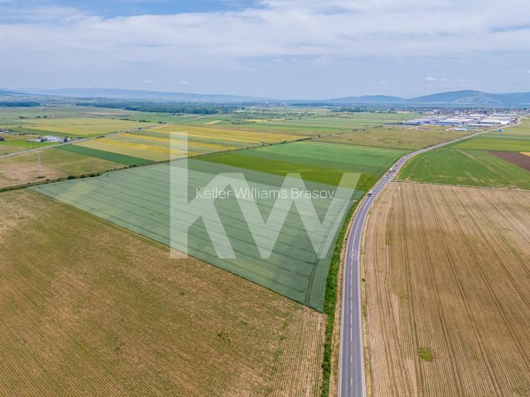 Teren de vanzare I 8 Euro/ mp I Deschidere la drum - Harman - 7