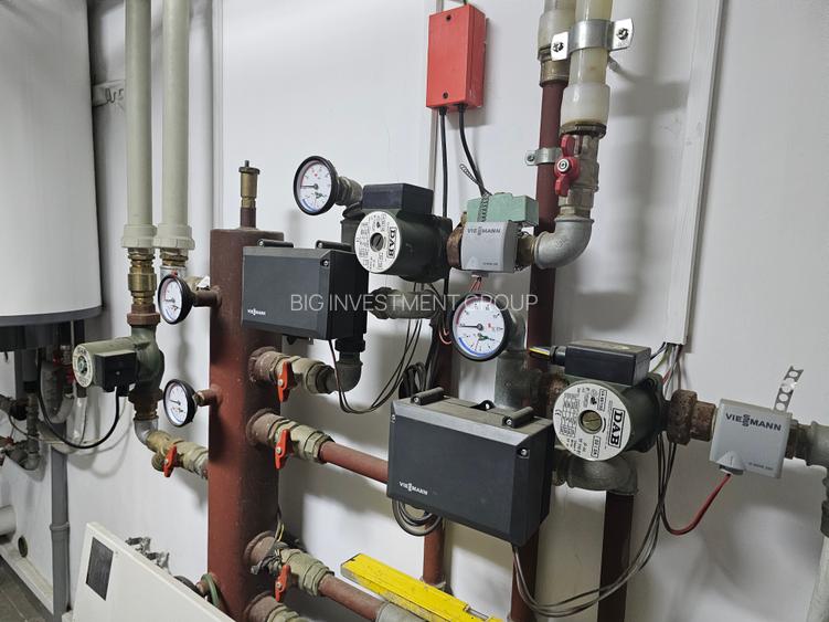 Vila Frumusani, piscina, vedere lac, 8 camere, - 4