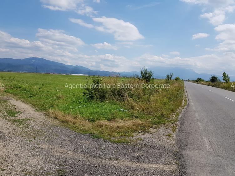 EXCLUSIVITATE-10 ha teren intravilan, curti constructii, front la  DJ  112A - 4