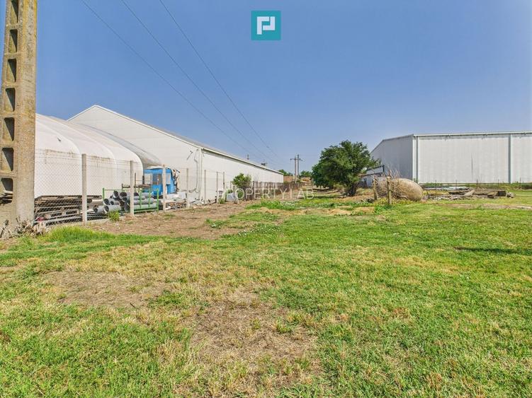 Complex industrial cu hale și teren  în Orțișoara - 27