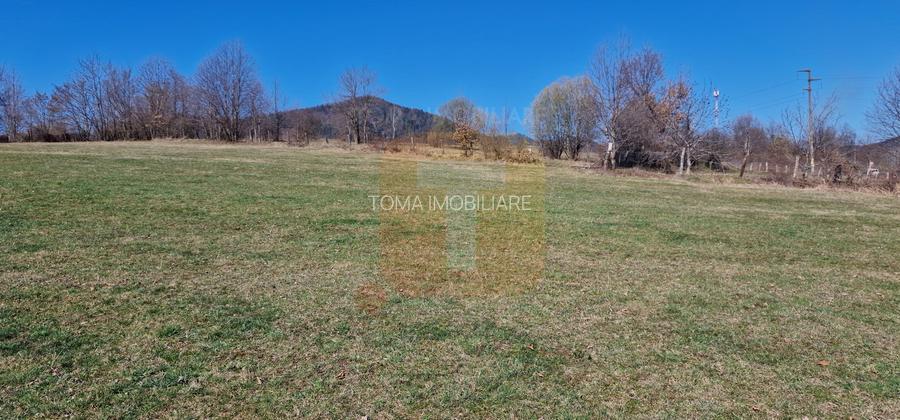 Teren intravilan de 4.000 mp în Bistrița – Alexandru cel Bun - 18