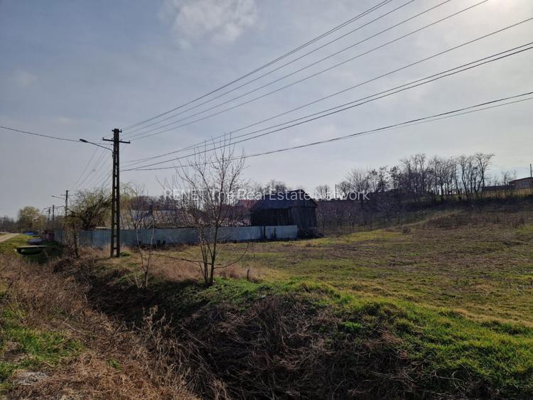 Teren - Roman  -Trifesti  - 7