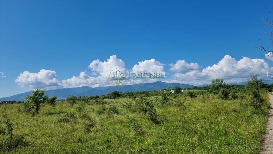 Teren de vânzare în Calea Cisnădiei, Sibiu – 550 mp, PUZ aprobat, vedere superbă - 1