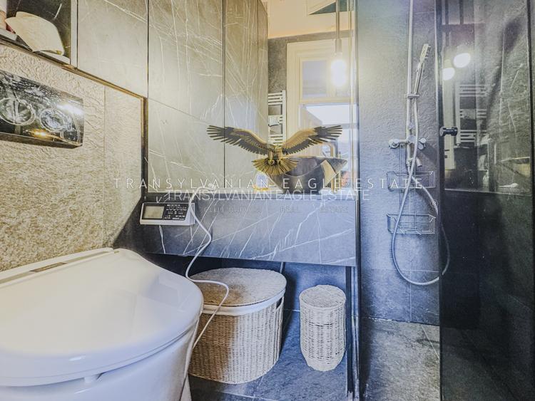Locuința situată în zona centrală din Piața Muzeului - 14