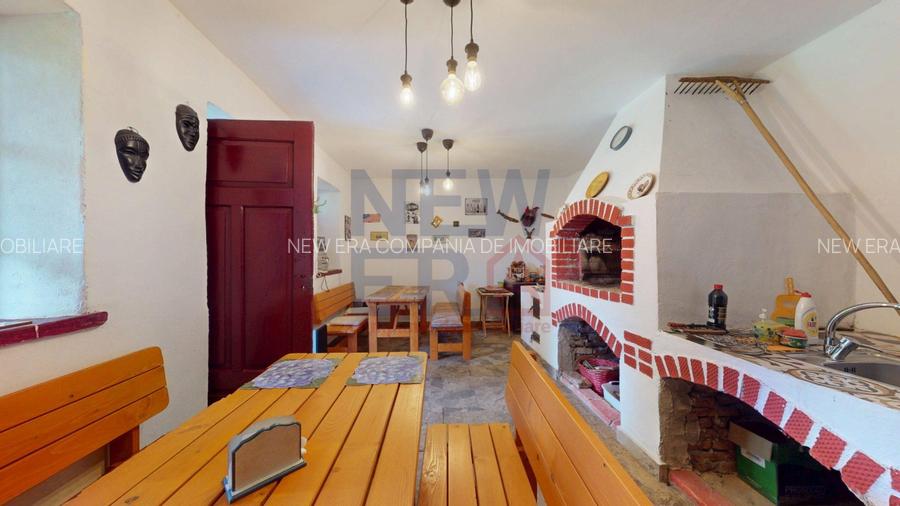 CONACUL GEORGE STEPHANESCU - 4