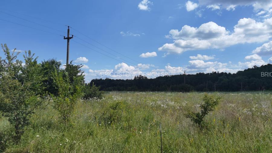 OPORTUNITATE INVESTITIE teren deosebit autostrada/DN1 - 3