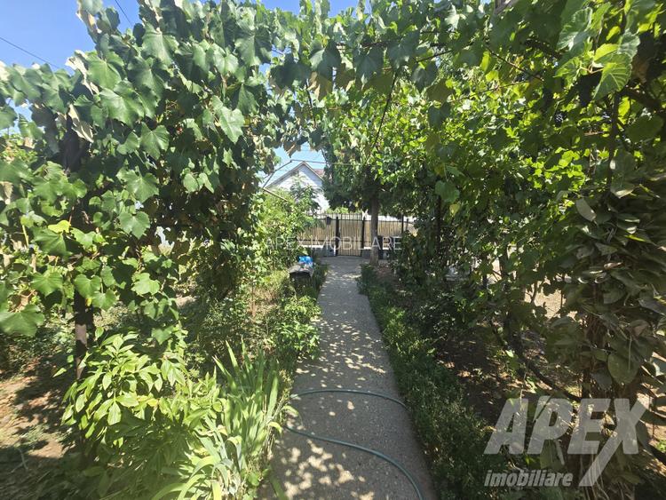 Teren imprejmuit 520 m | COMISION 0% | Drumul Taberei - Str. Lavei - 7