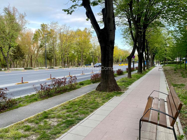 Apartament 3 camere, mobilat ,utilat , Bloc nou , Lăpușneanu – Parcul Tăbăcărie - 14