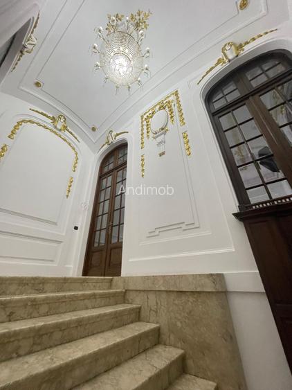 Vila - Gradina Icoanei - De Inchiriat - 10