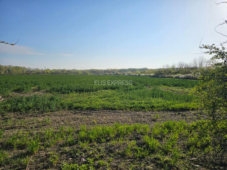 10.100mp TEREN CONSTRUCȚII INTRAVILAN POTIGRAFU, DESCHIDERE 31m direct la DN1 - 12