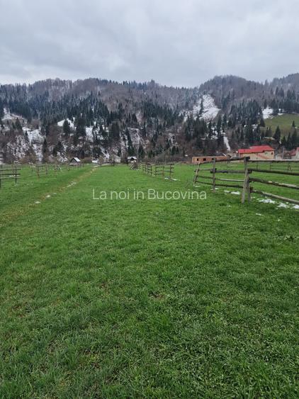 De vanzare teren intravilan 2466 mp Bucovina - Frumosu - 6