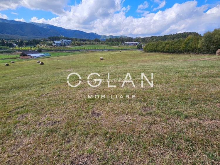 Teren Tocile (parcelabil) 3500 mp  - 6