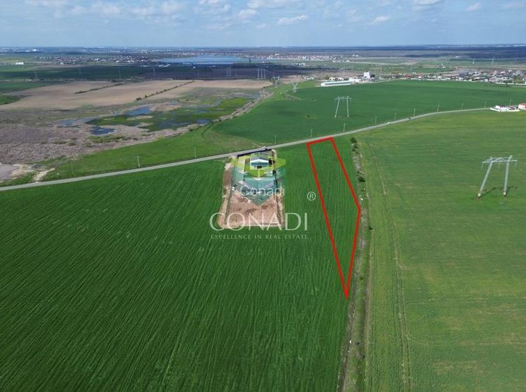 Teren Intravilan Constructii - Industrial Cernica | Balaceanca - 1