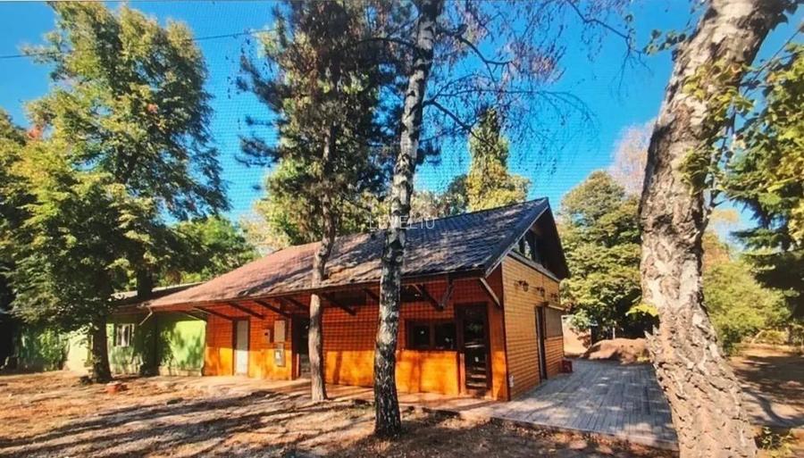 Vanzare sau inchiriere | Herastrau | restaurant cu terasa - 2