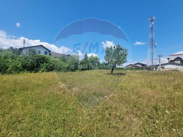 Teren intravilan 11.500 mp – Strada Cismari Vălenii de Munte - 11