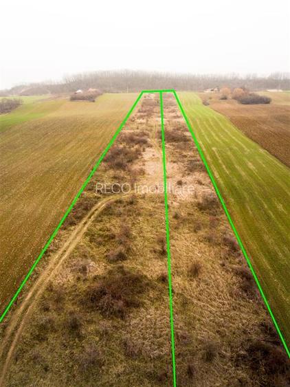 RECO Teren in Burzuc 13 041mp - 8