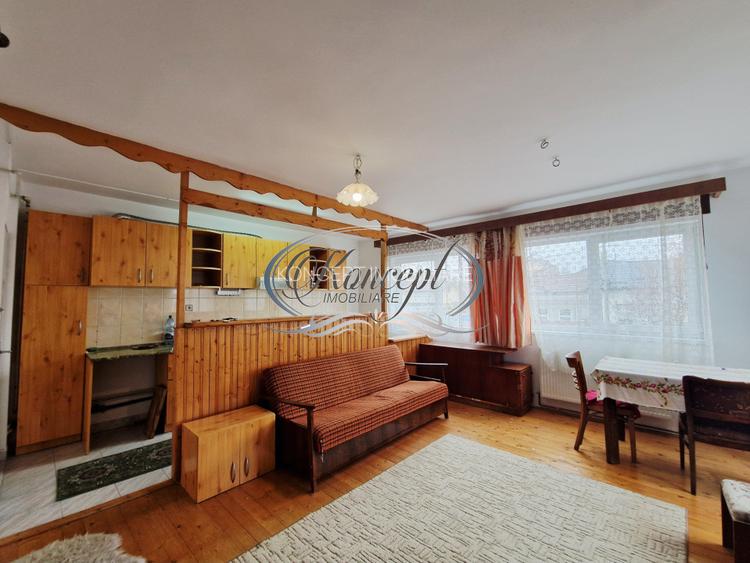 Casa individuala in piata 1848 - 3