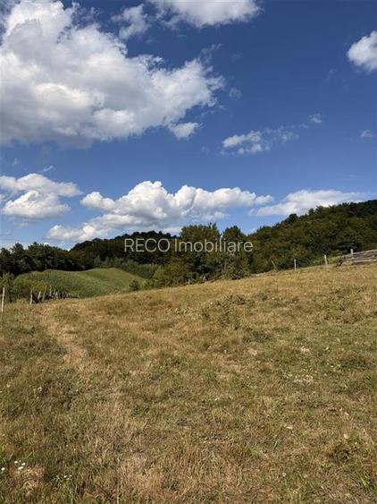 Reco, Teren Rosia - 3