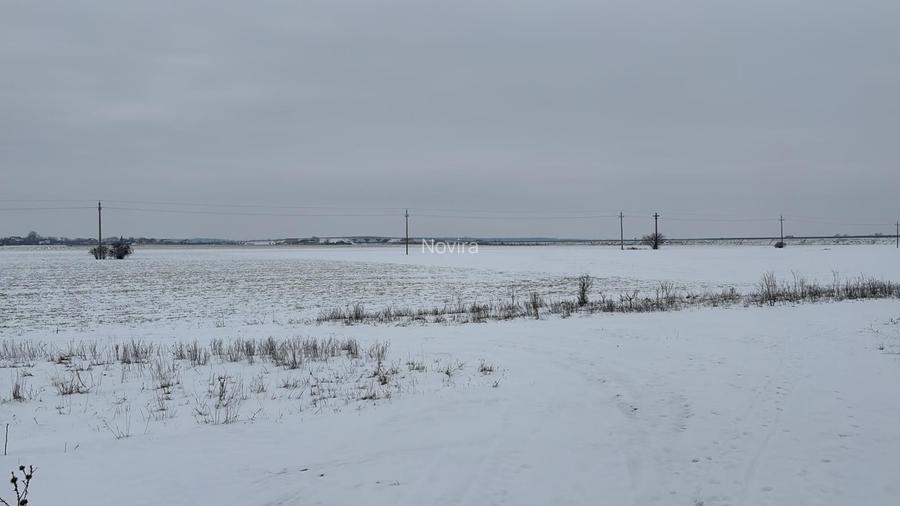 Teren 34.263 mp Ciorogârla | Oportunitate investiție | Complex de Case - 2