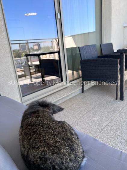 Luxuria Residence | Code MY032-02  |  620EUR+TVA - 29