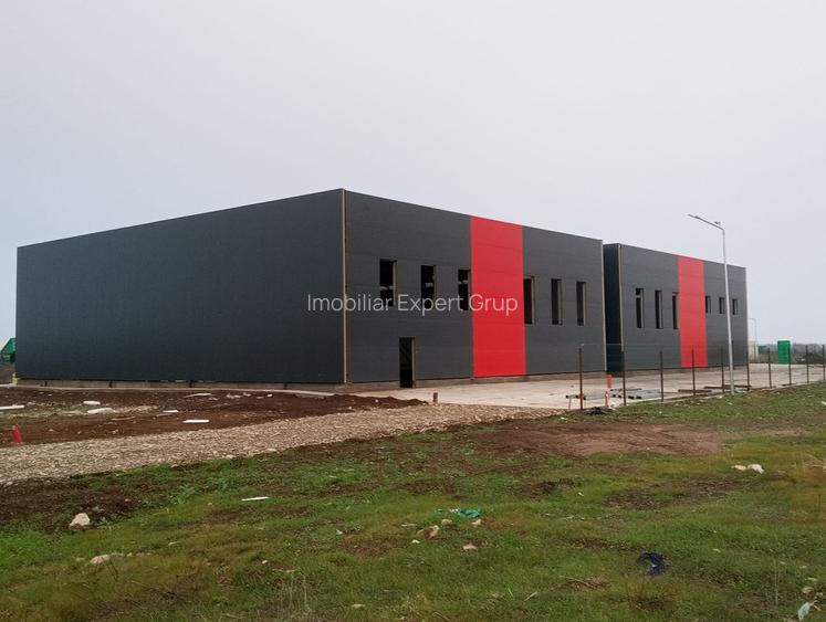 Hale noi PRET BOMBA ( 2 bucati ) 538 mp buc. Frumusani- Autostrada AO - 3