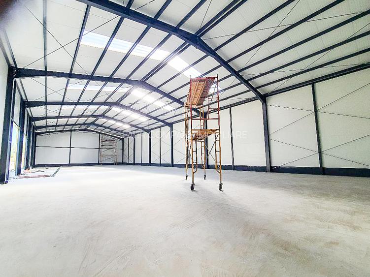 Hale,spatii industriale Albota,Pitesti Arges - 18