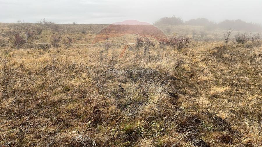 COMISION 0%- Teren 544mp Padureni (Chinteni) / Strada Principala - 6