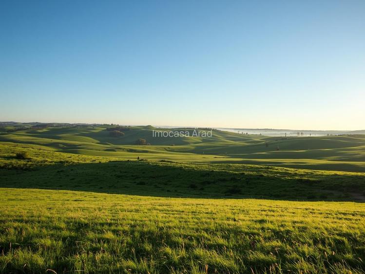 Vanzare Teren Extravilan Arabil, Pășune Chesint, Zabrani Arad, 48.86ha - 4