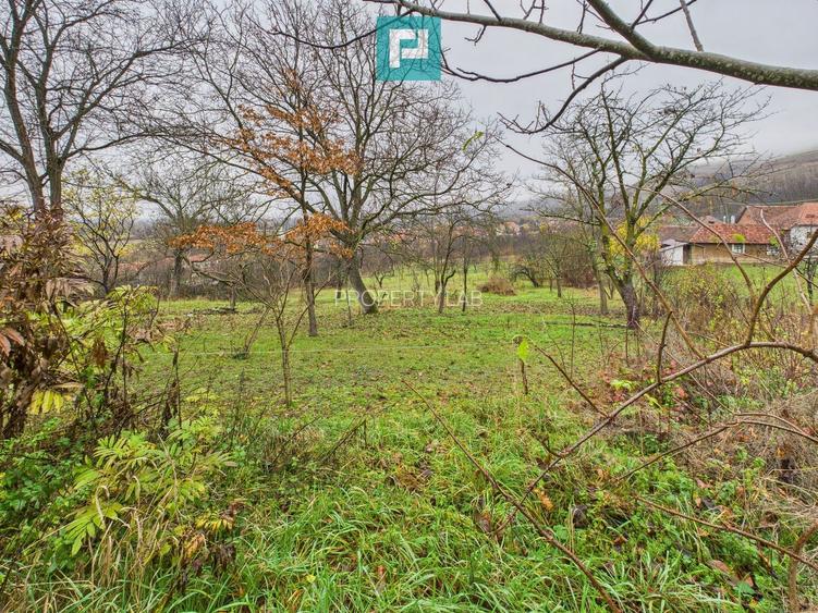 Casă cu 3 camere în localitatea Berindia, Arad - 11