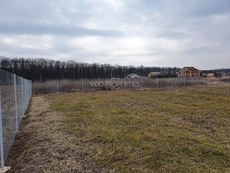 TEREN CONSTRUCTII-INTRAVILLAN-SUPERB-SNAGOV-PADURE-UTILITATI-PROIECT - 9