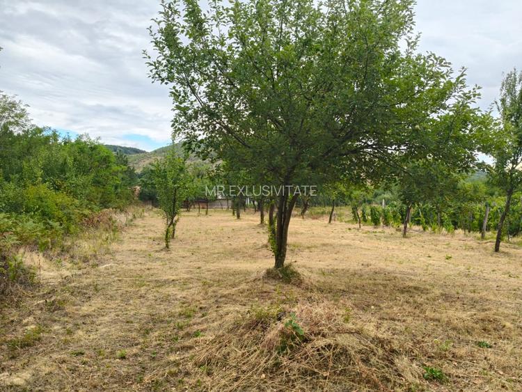 Terenuri intravilane alipibile în Runcu, zonă cu potențial - 5