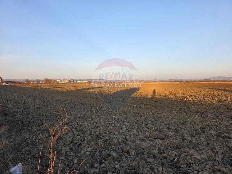 Teren intravilan, 5000 mp, Stupini, str Pomiculturii - 10