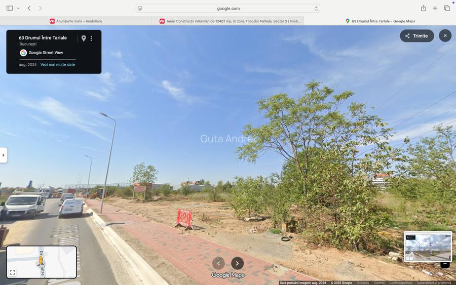 Drumul Intre Tarlale 176-186 Total:12461  mp - 3