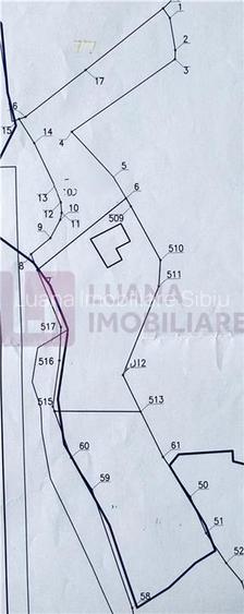 Teren 3581 mp | Marginimea Sibiului | priveliste superba - 6