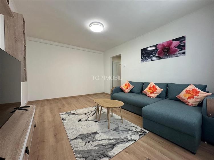 Inchiriere Apartament cu 2 camere Tatarasi - 10