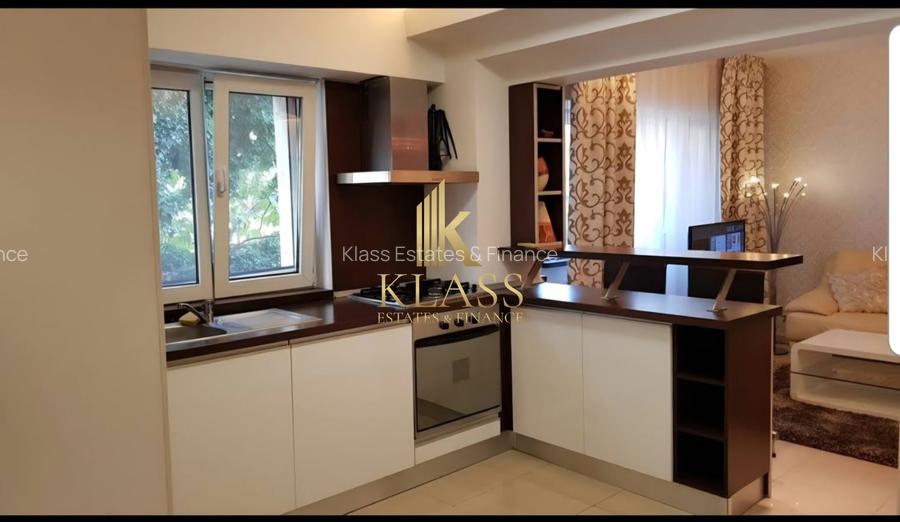 apartament de inchiriat cu 2 camere in zona Dorobanti - 7