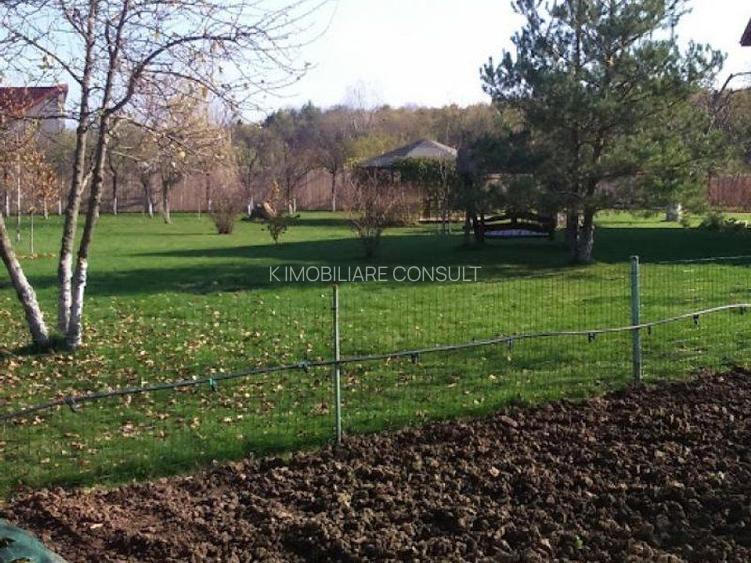 Ciopani vila 5 camere teren 4000 mp - 4