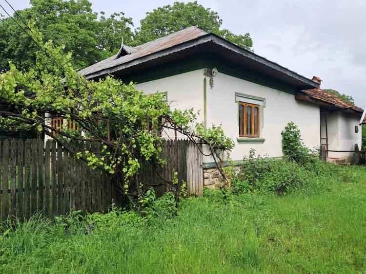 Casă și teren intravilan Polovragi - 6